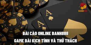 bai cao online