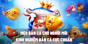 meo ban ca cho nguoi moi