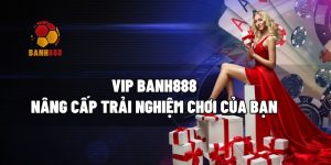 vip banh888